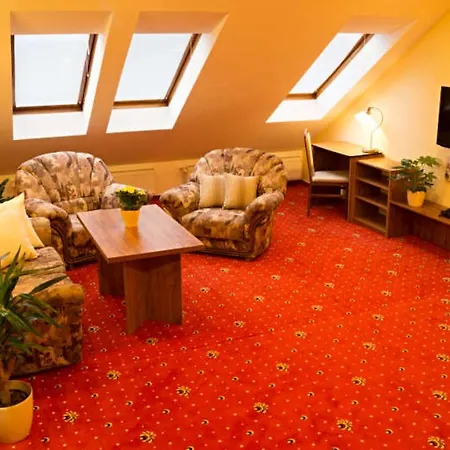 Apartmany Holiday Trebic Room photo