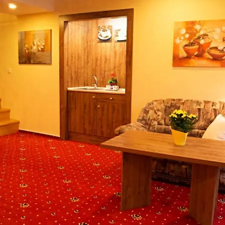 Apartmany Holiday Trebic Room photo