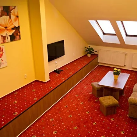 Apartmany Holiday Trebic Room photo