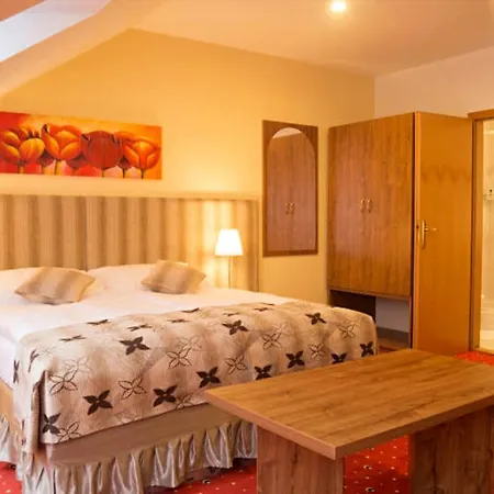 Apartmany Holiday Trebic Room photo