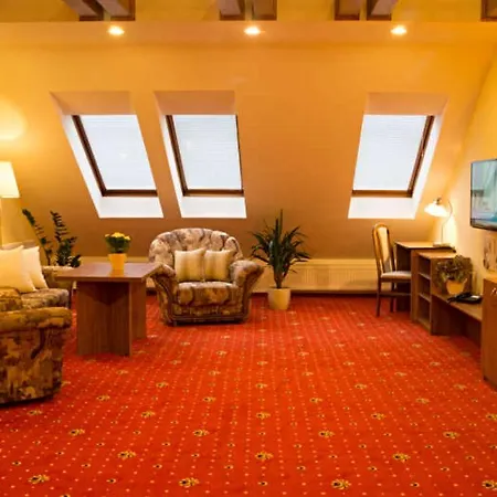Apartmany Holiday Trebic Room photo