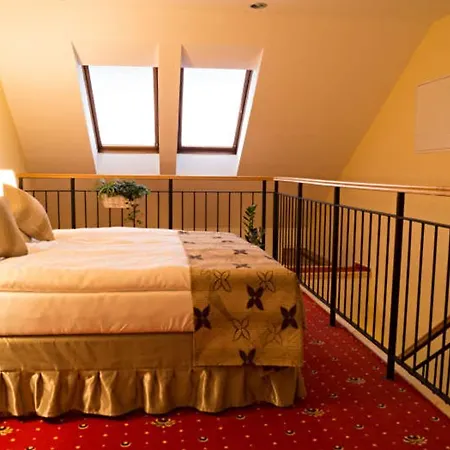 Apartmany Holiday Trebic Room photo