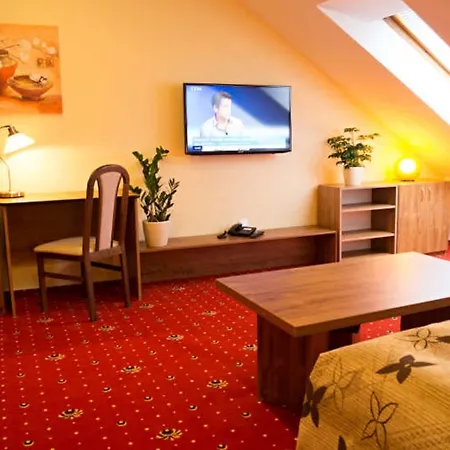 Apartmany Holiday Trebic Room photo